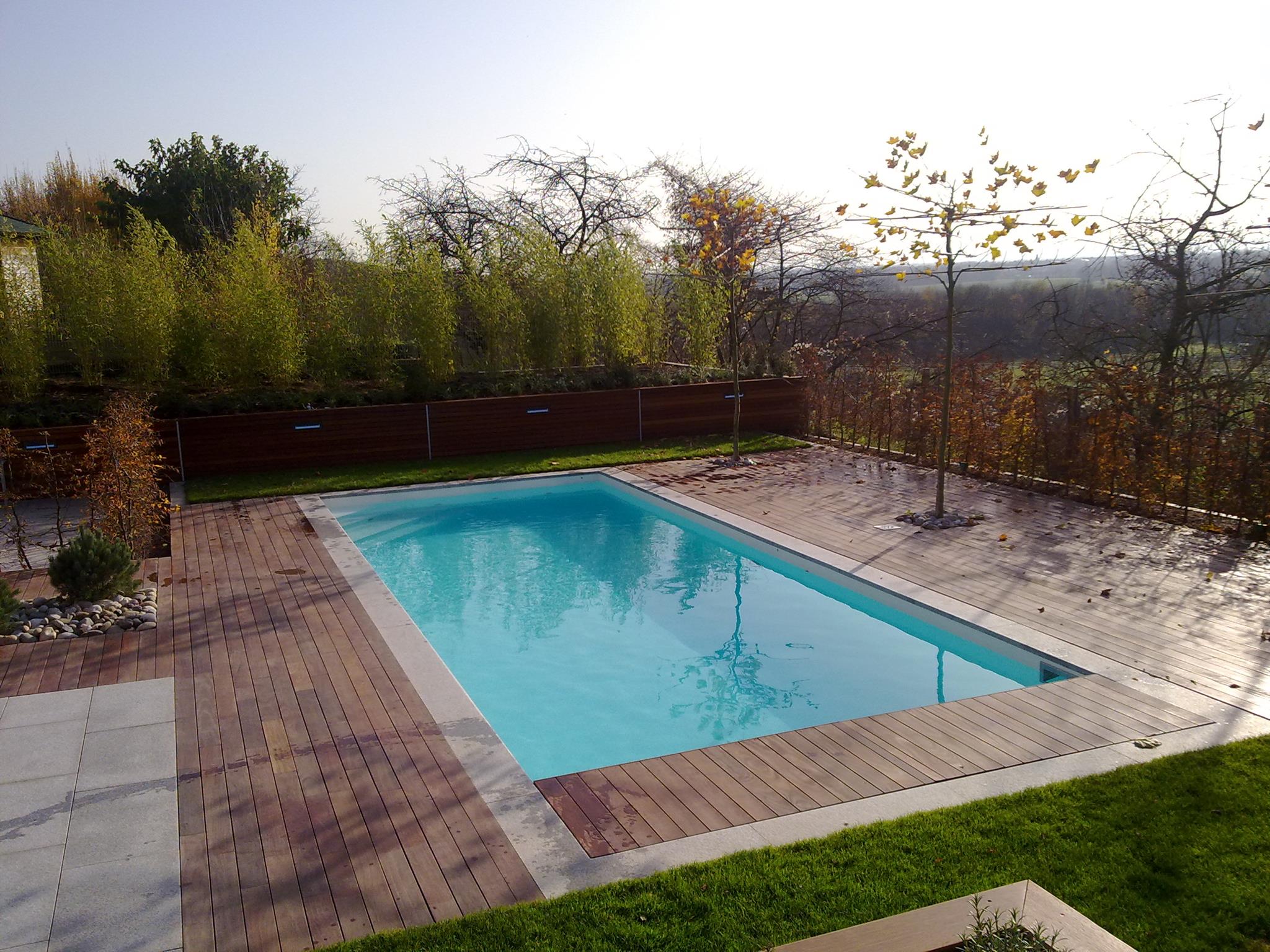 Ein moderner Pool im Garten mit Holzumrandung, klarblauem Wasser und herbstlicher Bepflanzung.