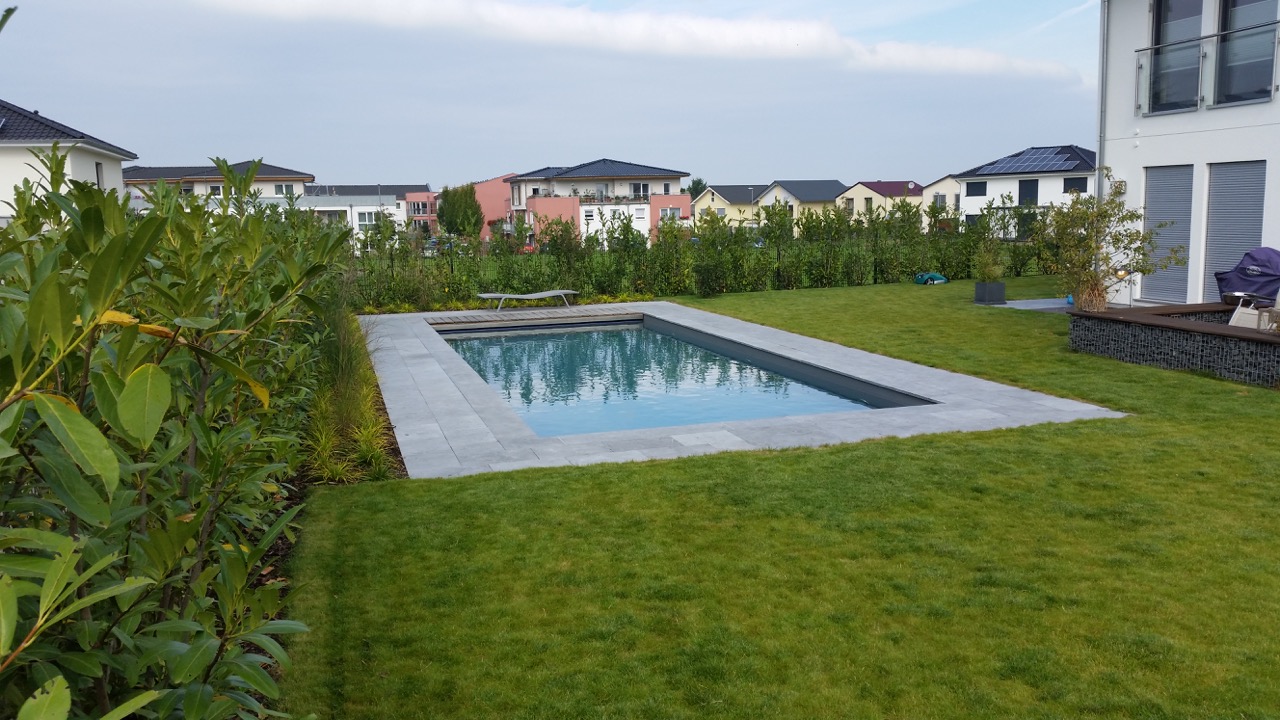Ein moderner, rechteckiger Pool in einem gepflegten Garten mit Rasen und Hecken.