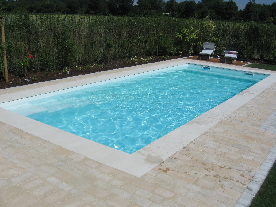 Rechteckiger Swimmingpool im Garten, umgeben von Pflanzen, blauer Himmel, klare spiegelnde Wasseroberfläche.