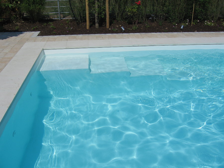 Ein leerer Pool mit klarem, blauem Wasser und Stufen, umgeben von Pflanzen.